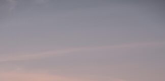 Qui Sont Les Héritiers Réservataires En France ? Découvrez-Le !