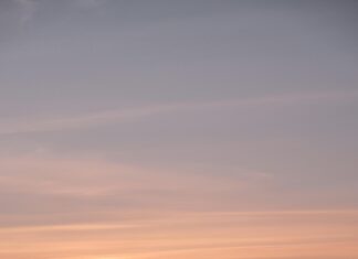 Qui Sont Les Héritiers Réservataires En France ? Découvrez-Le !