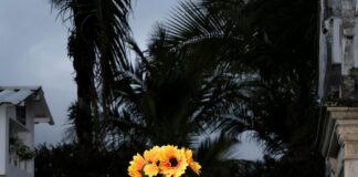 Négocier Une Dette Fiscale Avec Le Fisc : Astuces Pour Réussir