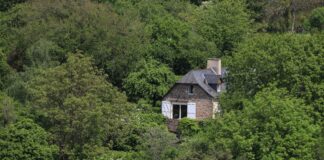 Congés Payés Et Absences : Quels Sont Vos Droits Réellement ?