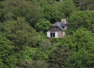 Congés Payés Et Absences : Quels Sont Vos Droits Réellement ?