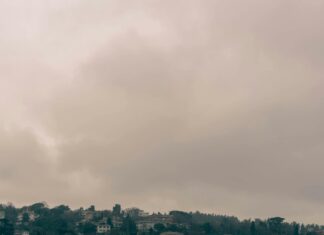 Renouvellement De Titre De Séjour : Découvrez Les Étapes Essentielles