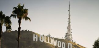 Piéton Renversé : Que Dit La Loi Sur Vos Droits Et Obligations ?