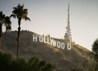 Piéton Renversé : Que Dit La Loi Sur Vos Droits Et Obligations ?