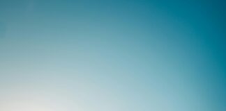 CDI Vs CDD : Quelles Sont Les Différences Clés à Connaître ?