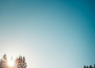 CDI Vs CDD : Quelles Sont Les Différences Clés à Connaître ?