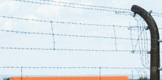 Détention Provisoire : Combien De Temps Peut-On Rester?