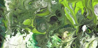 Contester Une Amende De Circulation : Astuces Pour Gagner!