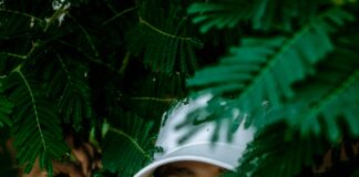 Peut-On Vendre Un Bien Sans Certificat De Conformité ? Découvrez La Vérité !