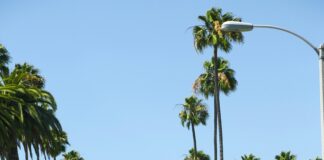 Infractions Graves Au Code De La Route : Quelles Sont Les Sanctions ?