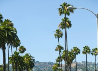 Infractions Graves Au Code De La Route : Quelles Sont Les Sanctions ?