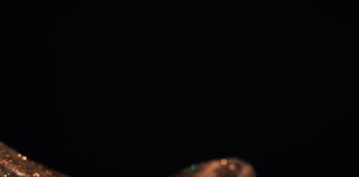 Quand Obtient-On La Garde Exclusive ? Découvrez Les Secrets !