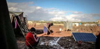 Comment Faire Murir Un Avocat : Astuces Incroyables à Découvrir