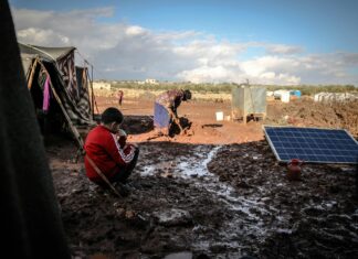 Comment Faire Murir Un Avocat : Astuces Incroyables à Découvrir