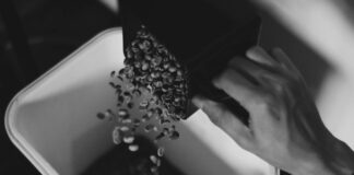 Comment Faire Pour Éveiller Votre Créativité et Innover Quotidiennement ?