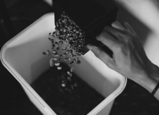 Comment Faire Pour Éveiller Votre Créativité et Innover Quotidiennement ?