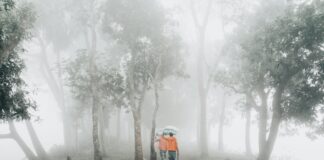 Comment Faire Une Division : Astuces Pratiques Pour Réussir