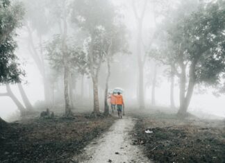 Comment Faire Une Division : Astuces Pratiques Pour Réussir