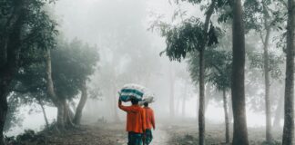 Comment Faire Du Marron En Peinture : Astuces Créatives À Découvrir