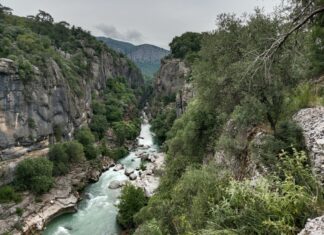 Mal De Gorge Comment Faire : Astuces Inattendues Pour Soulager