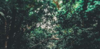 Comment Se Faire De L’Argent Rapidement : Découvrez Nos Astuces Efficaces