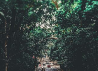 Comment Se Faire De L’Argent Rapidement : Découvrez Nos Astuces Efficaces