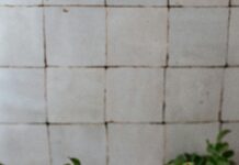 Comment Faire Du Rose : Découvrez Les Secrets De Ce Teint Parfait
