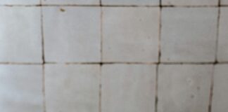 Comment Faire Du Rose : Découvrez Les Secrets De Ce Teint Parfait