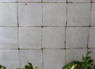 Comment Faire Du Rose : Découvrez Les Secrets De Ce Teint Parfait