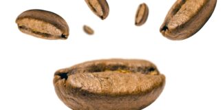 Comment Faire Pousser Un Bananier Sans Graine : Découvrez Les Secrets !