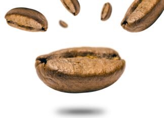 Comment Faire Pousser Un Bananier Sans Graine : Découvrez Les Secrets !